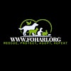 Logo van FOHA RI Adoption Events