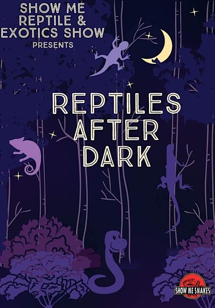 Reptiles After Dark (Odessa, TX) image