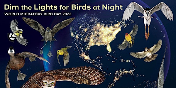 Lights out for Migratory Birds - Migratory Bird Day 2022