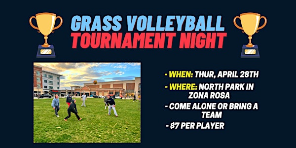 Grass Volleyball Tournament Night