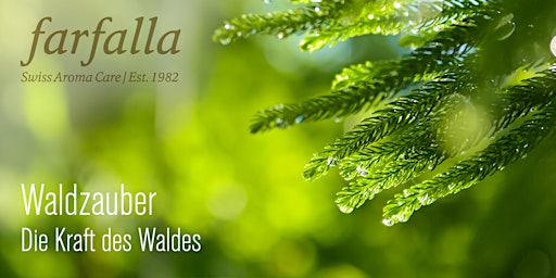 Waldzauber – die Kraft des Waldes / St. Gallen (*sg)