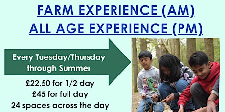 Farm/All Age Experience  Summer 2022 - Thursday 18th August
