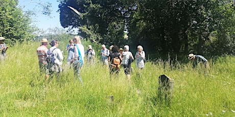 Learn to Identify & Record Wildflowers and Plants -Kenwyn, Cornwall tickets