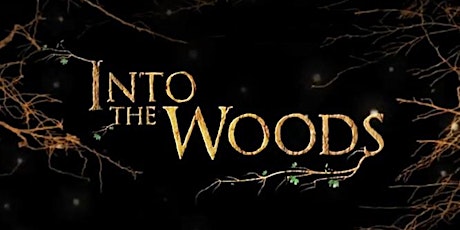 Into the Woods primary image