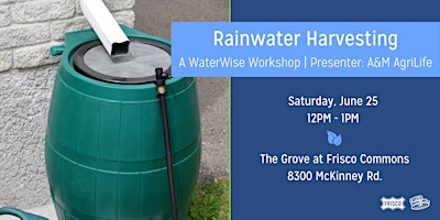 Simple Rainwater Harvesting