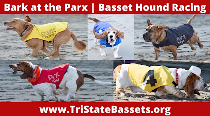 'Bark at the Parx' Basset Hound Racing Fundraiser image
