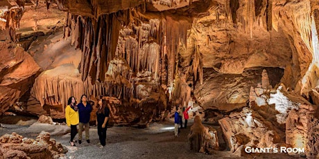 Shenandoah Caverns Online Tickets 2017 primary image