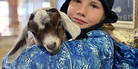 Baby Goat Snuggles & hands-on Farm Fun - Weekdays Spring Special - Discount tickets