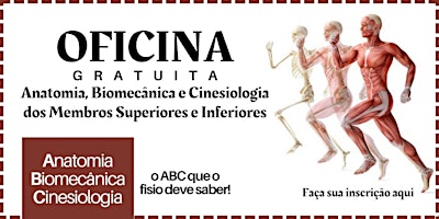 OFICINA - Anatomia, biomecânica e cinesiologia dos MMSS e MMII