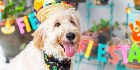 Dress Up Your Pup: Fido's Fiesta Yappy Hour