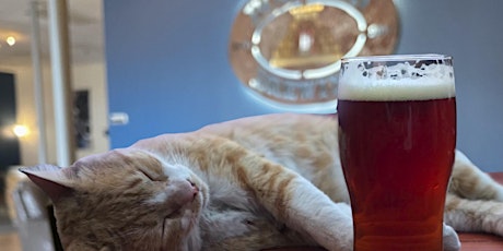 Angelcat Haven Pints for Purrs Fundraiser at Bog Iron Brewing tickets