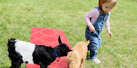 BABY GOAT YOGA: Toddler & Me (ages 2-4) *up to two parents/caregivers