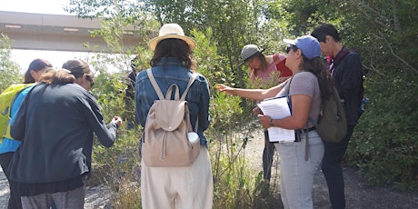 Edible and Medicinal Plant Walk in Inglewood Bird Sanctuary tickets