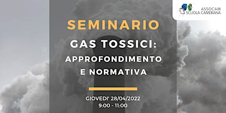 Immagine principale di Seminario - GAS TOSSICI: approfondimento e normativa 