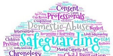 The link  between Adult Safeguarding and Domestic Abuse tickets