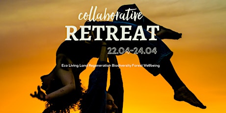 Imagem principal de Collaborative Retreat in the nature side of the Alentejo