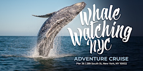 Whale Watching NYC Adventure Cruise tickets