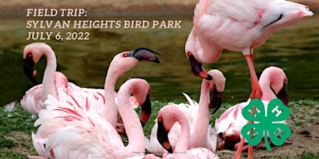 Field Trip to Sylvan Heights Birds Park (Ages 9-13) tickets