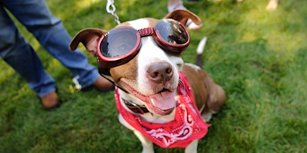 Pups & Pilsners