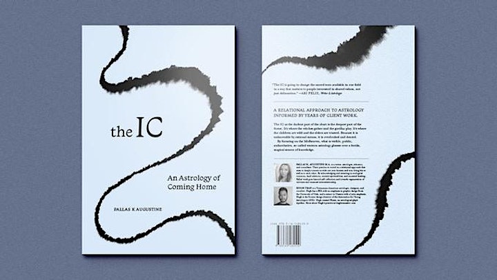 Book chat - Pallas K. Augustine and Hugh Tran on The IC. image