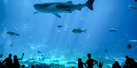 June N3: "Sea" the Aquarium with NAAAP Atlanta!