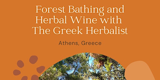 Forest Bathing and Herbal Wine with The Greek Herbalist