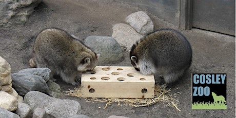 Hauptbild für Cosley Zoo Family Enrichment Workshop (In person)