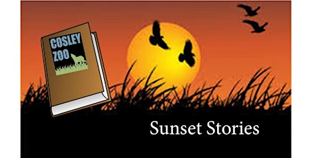 Sunset Stories (In person)