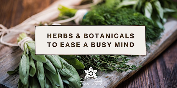 Herbs and Botanicals to Ease a Busy Mind