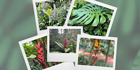 The Cohen Clinic at CFS: "Wahiawā Botanical Garden Photo Scavenger Hunt" tickets