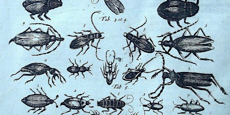 Journée sur les insectes patrimoniaux billets