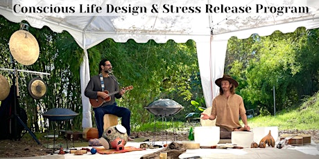 Conscious Life Design & Stress Release Program primary image
