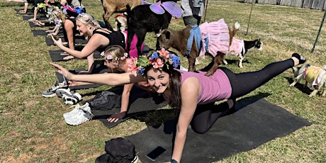 Celebrate Spring Goat Yoga tickets