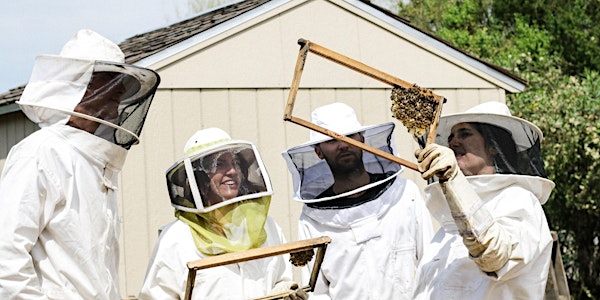 Beekeeping Experience at Mt Pleasant Farmers Market Bee Day celebrations