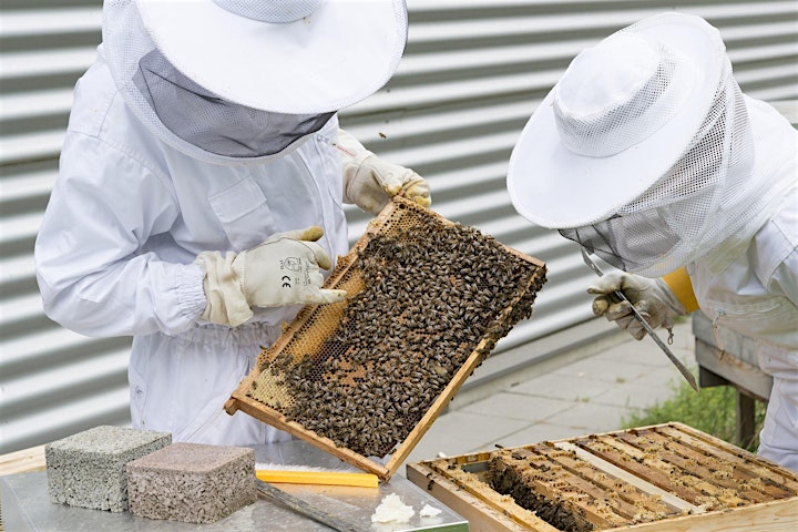 Beekeeping Experience at Mt Pleasant Farmers Market Bee Day celebrations image