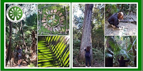 Guided Forest Therapy Walk - Rediscover and reconnect with nature tickets