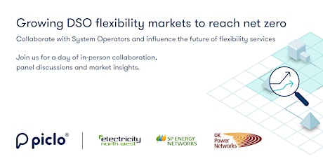 Growing DSO flexibility markets to reach net zero tickets