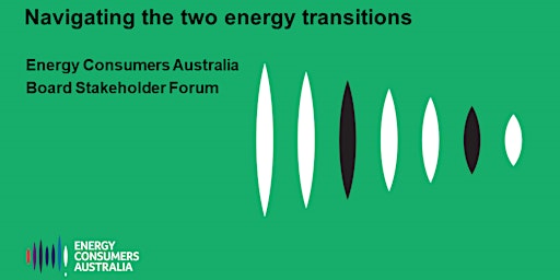 Navigating the two energy transitions