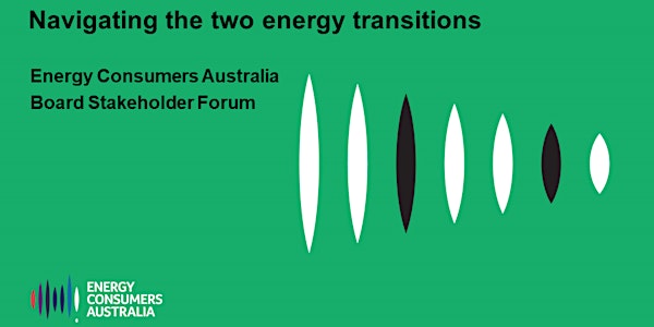 Navigating the two energy transitions