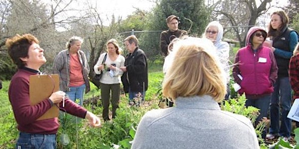 Grow More Food: Home Permaculture Series