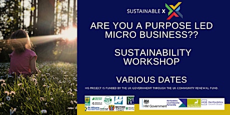 Sustainability for Purpose led Micro Businesses primary image
