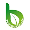 Friends of Bogardus Plaza's Logo