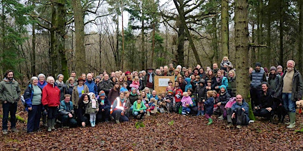 Vert Woods, Past, Present and Future