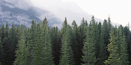 Imagem principal de Journée de distribution d'arbres 2022 Free Tree Giveaway