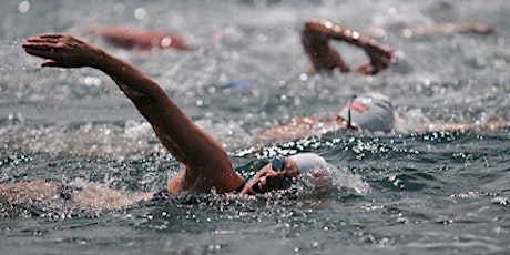 Freestyle Stroke Clinic - for Triathletes, Lap Swimmers, Masters Swimmers tickets