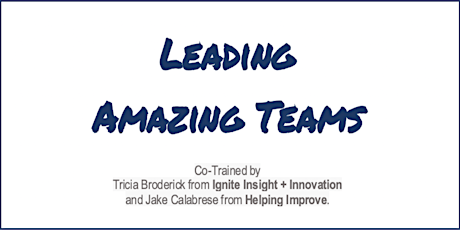 Agile Leadership: Leading Amazing Teams (LAT) -  Virtual