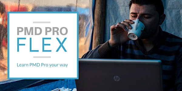 LINGOs PMD Pro 1 Flex - English