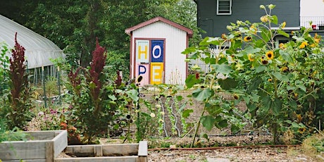 Primaire afbeelding van Rain Barrels 101