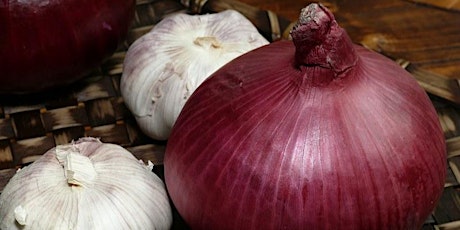 Harvest and Store Garlic and Onions primary image