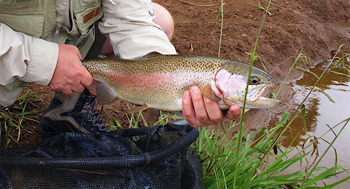 Fly Fishing Clinic image